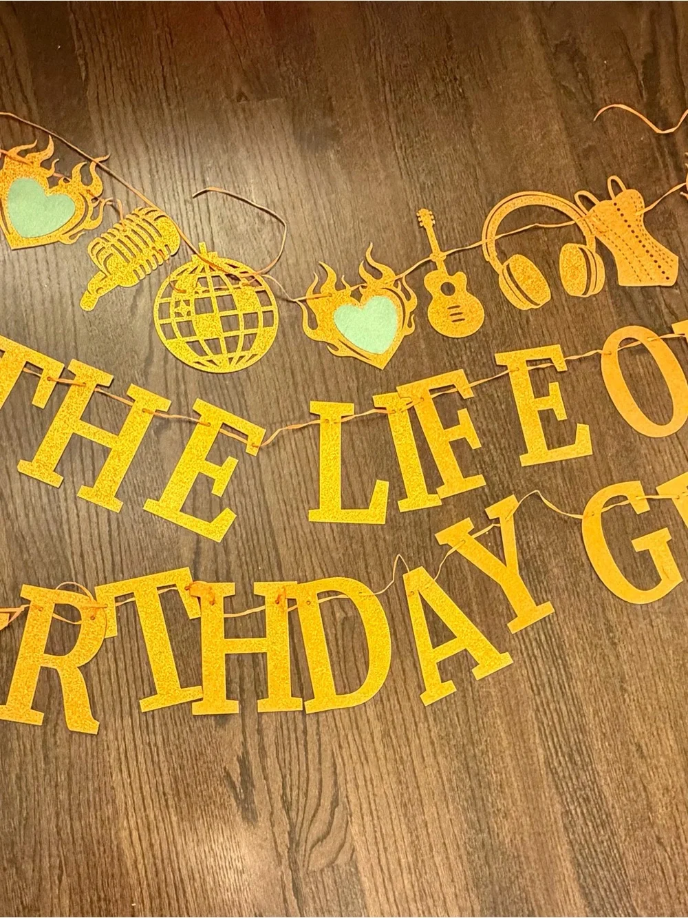 The Life of a Birthday Girl Party Banner
